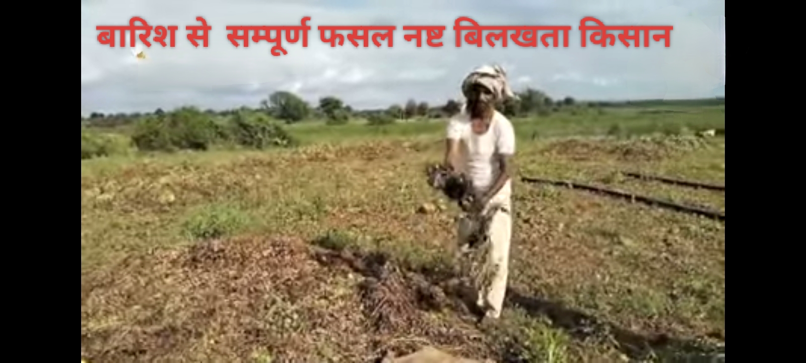 बेमौसम बारिश से फसल नुकसान देखता किसान