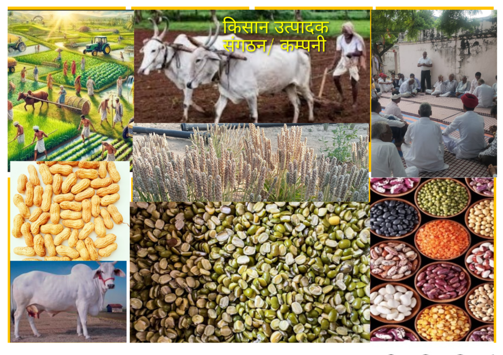 किसान उत्पादक संगठन