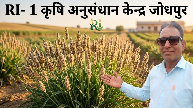 इसबगोल की खेती कम पानी और शुष्क क्षेत्रों में वरदान साबित हो रही है यदि किसान सही बीज का चयन करे तो मालामाल हो सकता है क्योंकि बीज के अलावा दवाईयों और उर्वरक को नाममात्र उपयोग से अच्छी फसल तैयार हो जाती है यदि तैयार फसल पर वर्षा नहीं होतो और समय पर कटाई करके अच्छी आय का स्रोत है