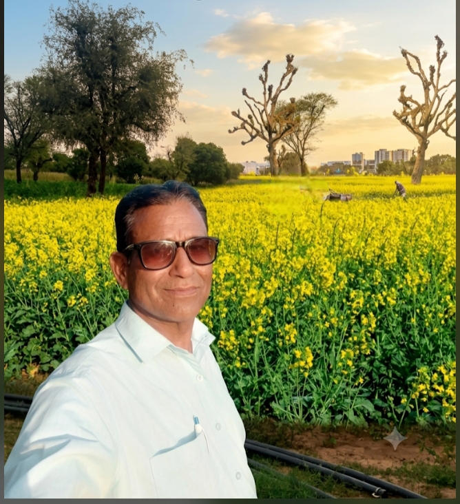 सरसों की खेती की आधुनिक तकनीको द्वारा सरसों की भरपूर पैरावार लेकर किसान समृद्ध और खुशहाल जीवन यापन कर देश के विकास में अपनी महत्वपूर्ण भागीदारी सुनिश्चित करें